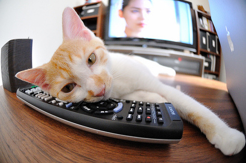 AYX体育-中国三人篮球队攻防一体化表现优异，中国三人篮球队攻防一体化表现优异吗