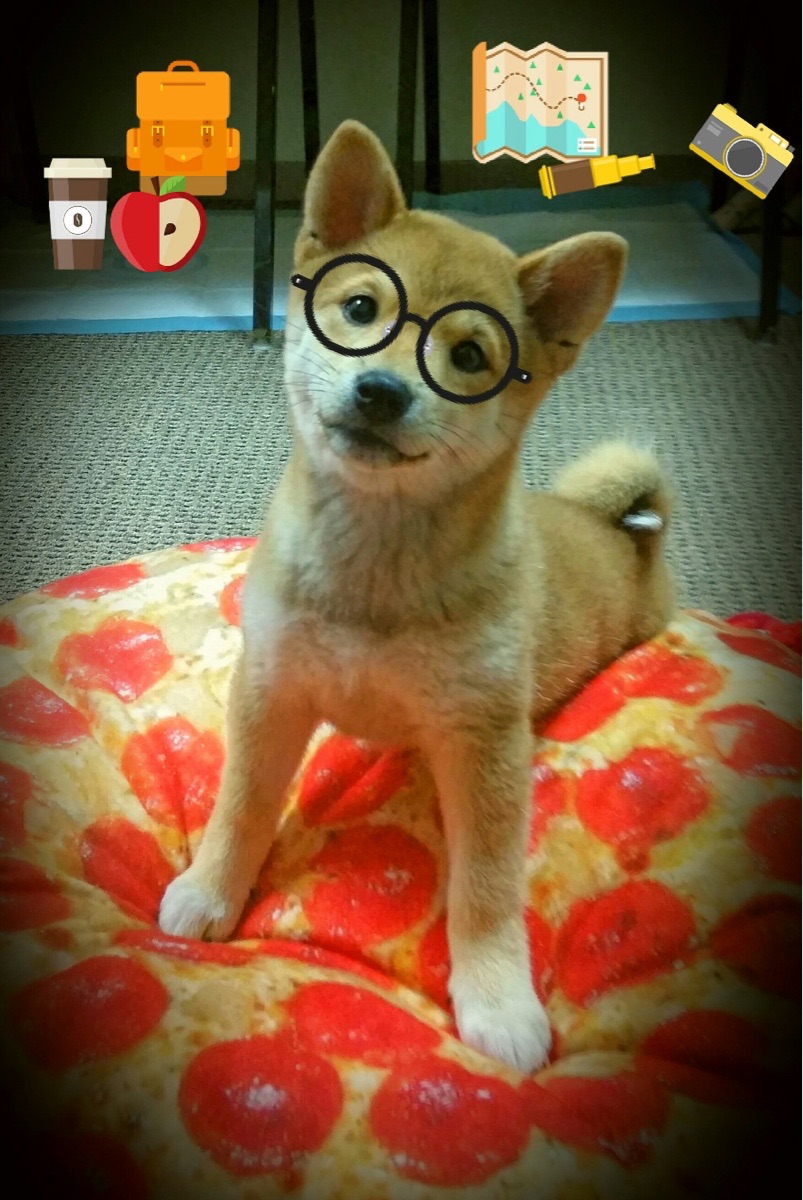 爱游戏娱乐网址-乒乓球赛事：全球顶级选手齐聚一堂，战况激烈，世界乒乓球大师赛