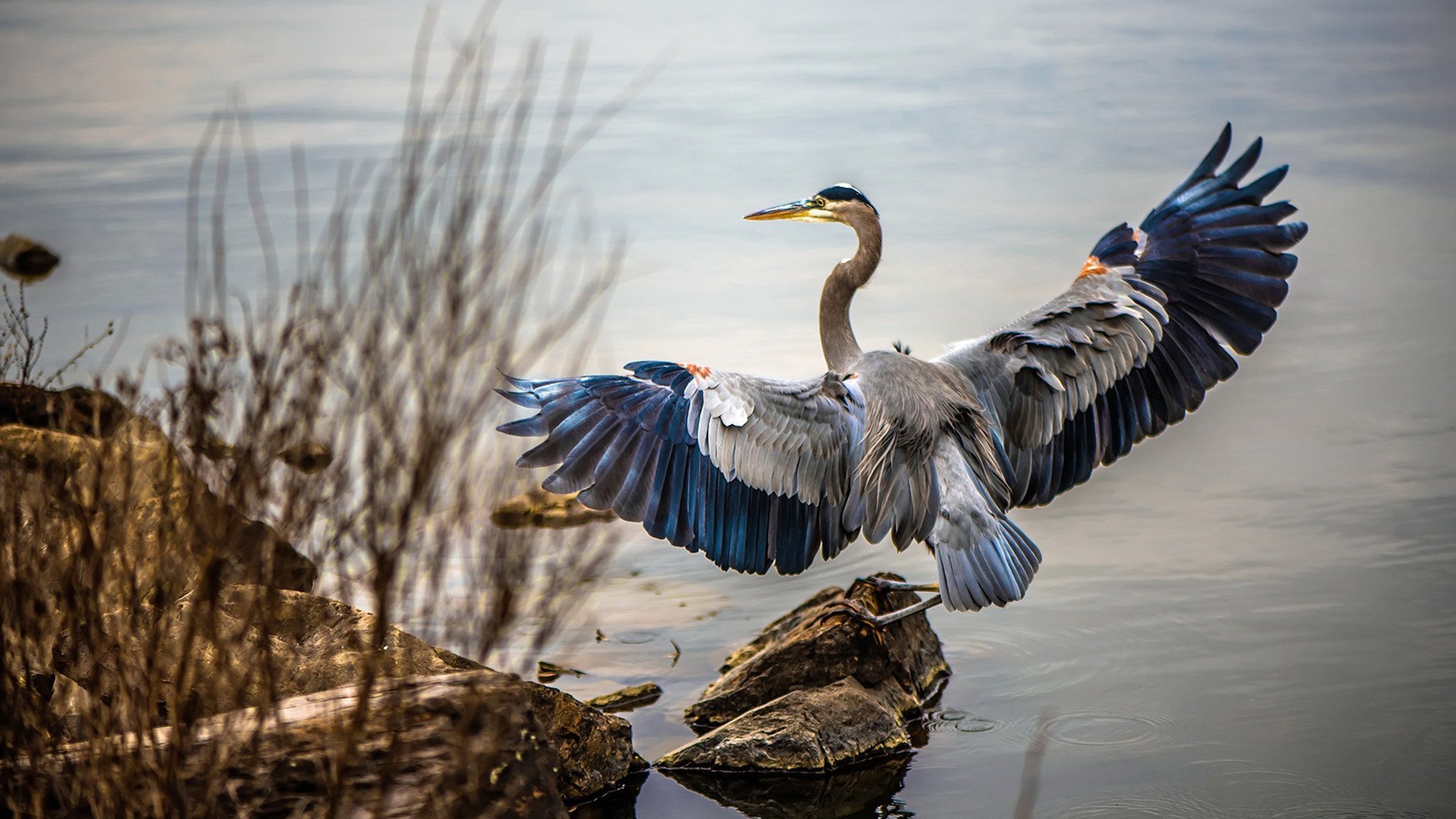 爱游戏平台-外援政策对联赛竞争力的影响，外援政策对联赛竞争力的影响有哪些