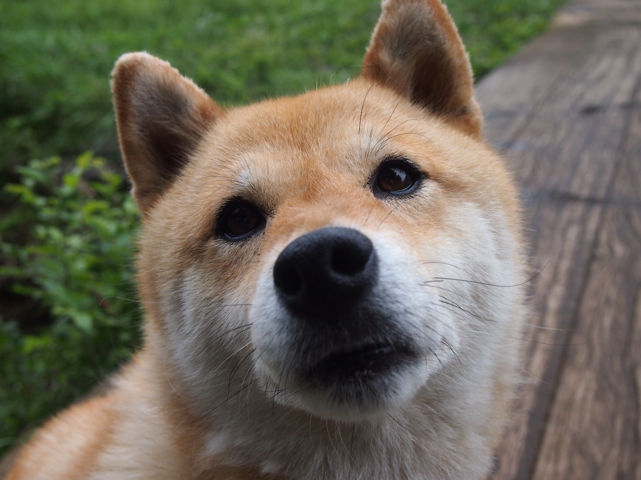 爱游戏中国官方网站平台-奥预赛中国青年队惨败 历史回顾引起共鸣，2020中国青奥会