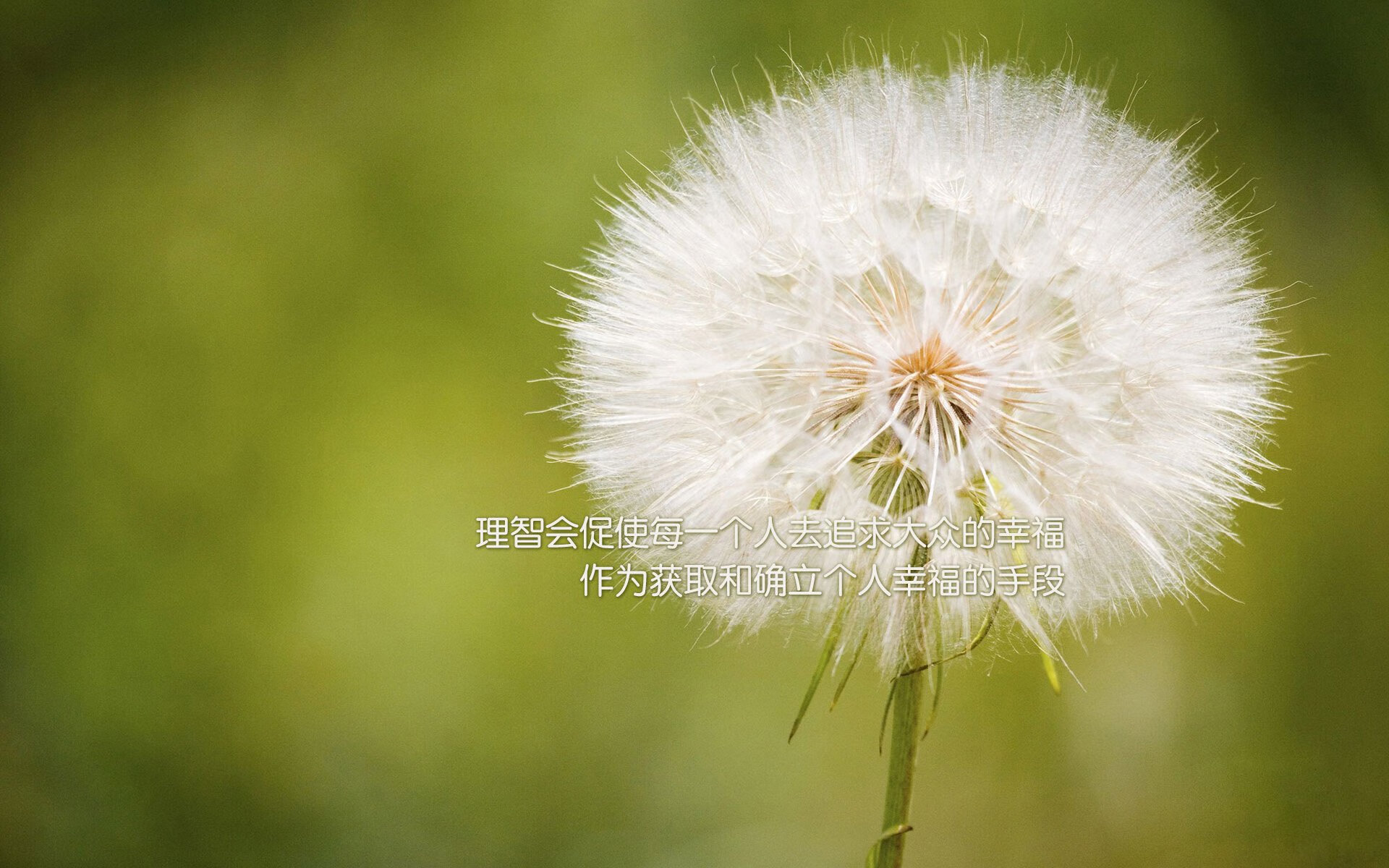 爱游戏电竞官网-沃尔夫斯堡稳守反击战术执行到位，沃尔夫斯堡最新阵容