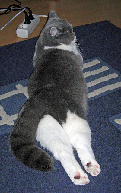 AYX体育-球队是否应根据节奏变化安排休息时段，球队规矩