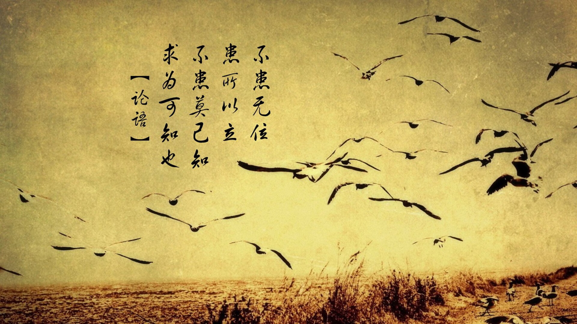 球队是否应根据节奏变化安排休息时段,球队规矩