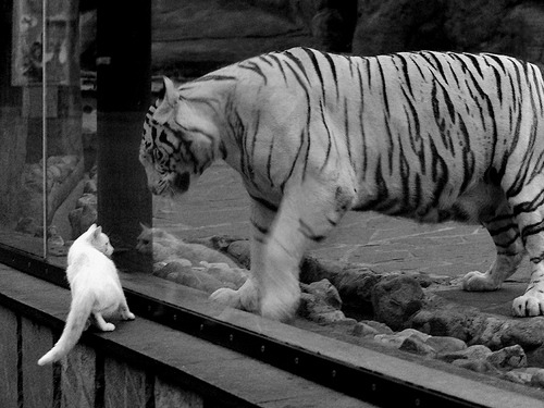 爱游戏官方-体育新闻中心奥运风采回顾，体育新闻奥运直播