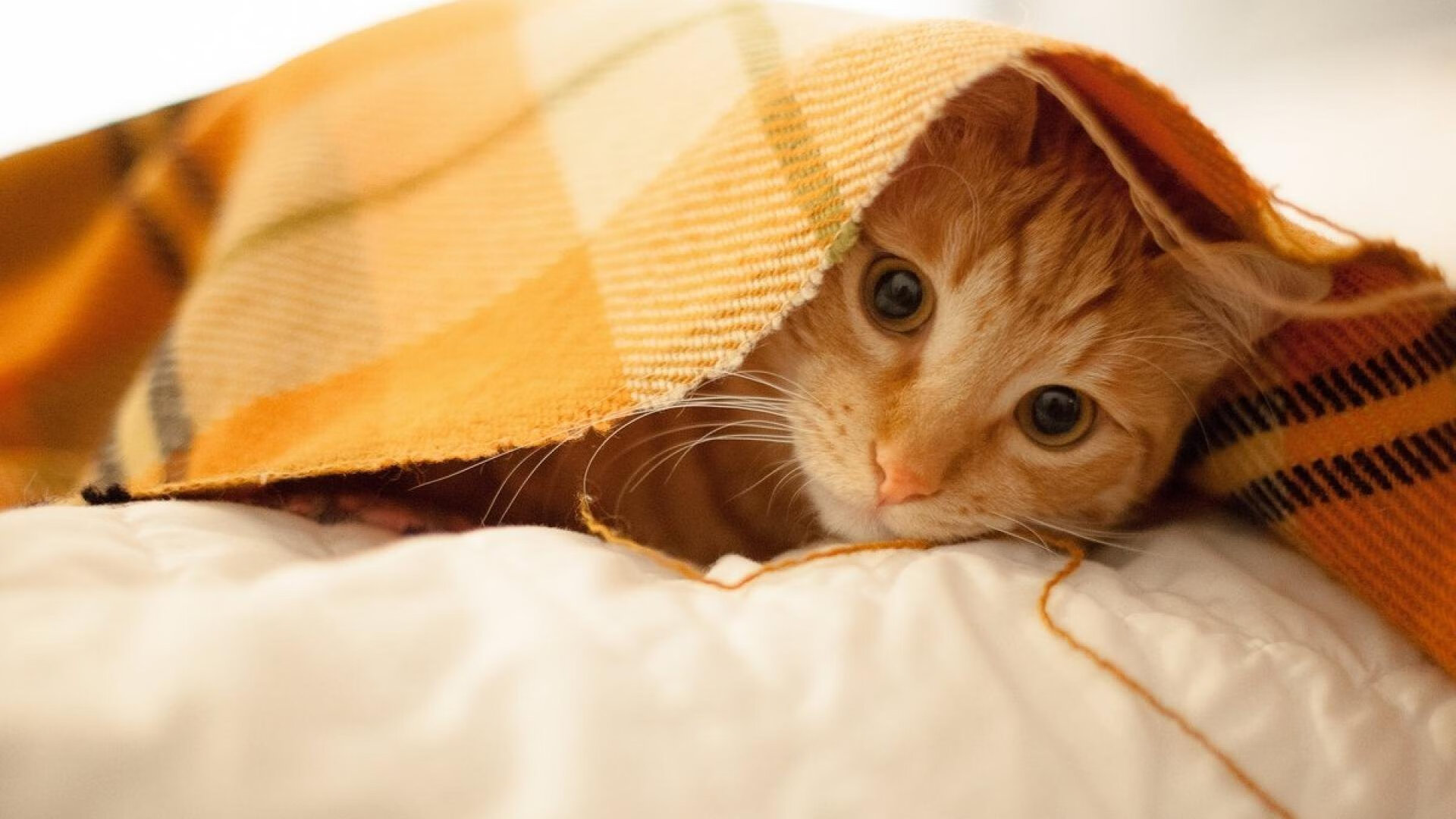 爱游戏体育平台-德甲火线对决：攻势猛烈防守坚韧