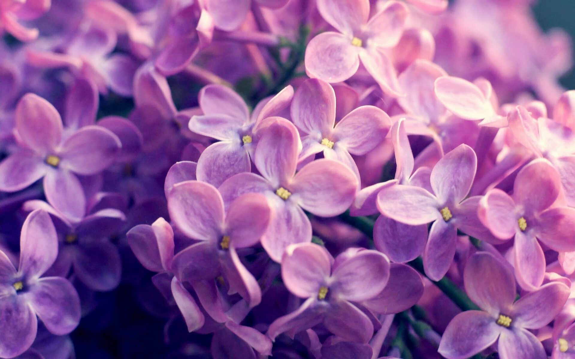 欧洲杯变阵惊喜：策略变化引爆现场！，欧洲杯怎么变2021