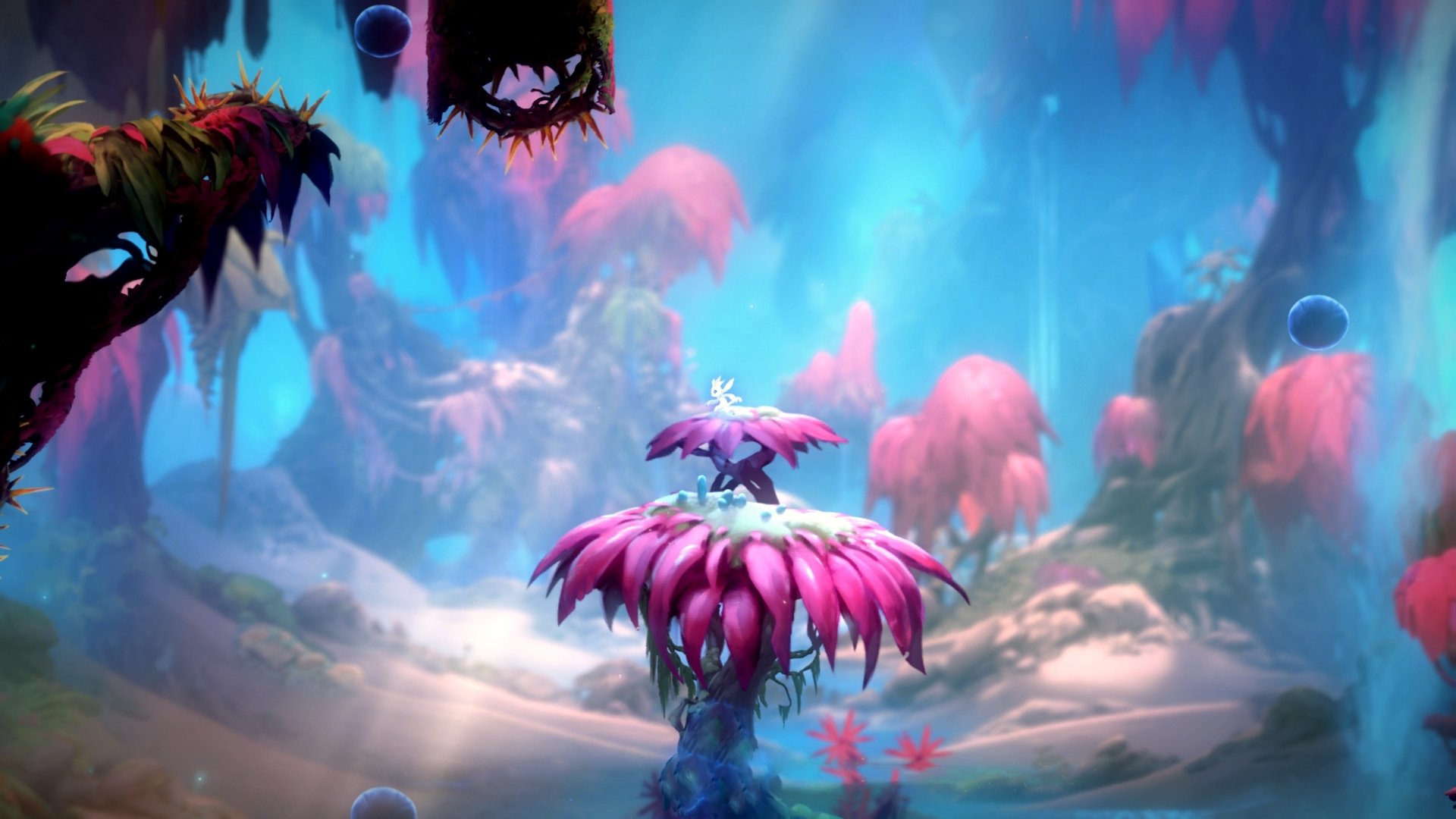 青少年足球场地环境改善专项行动持续推进，优化训练条件，青少年校园足球